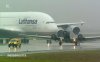 Lufthansa A380-800 D-AIMA (02).jpg