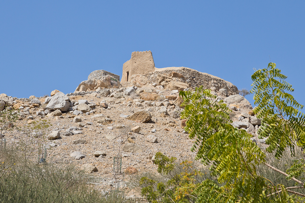Ras_Al_Khaimah_Wüste_29.jpg