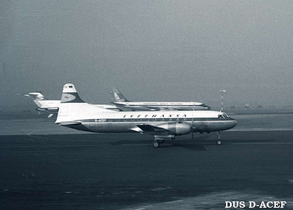 dusdacef.jpg