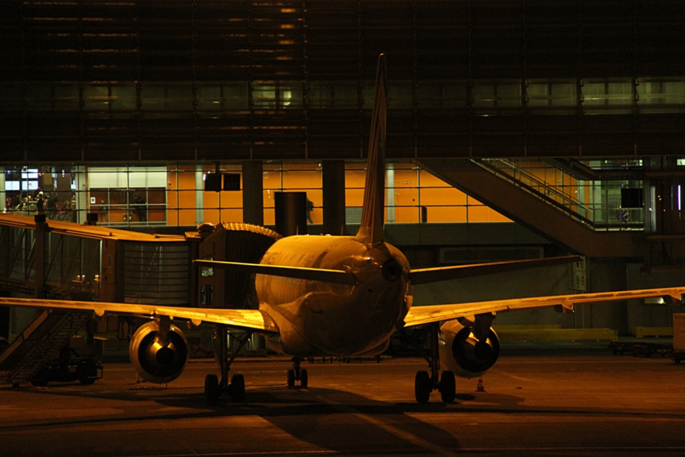 16976581ov.jpg