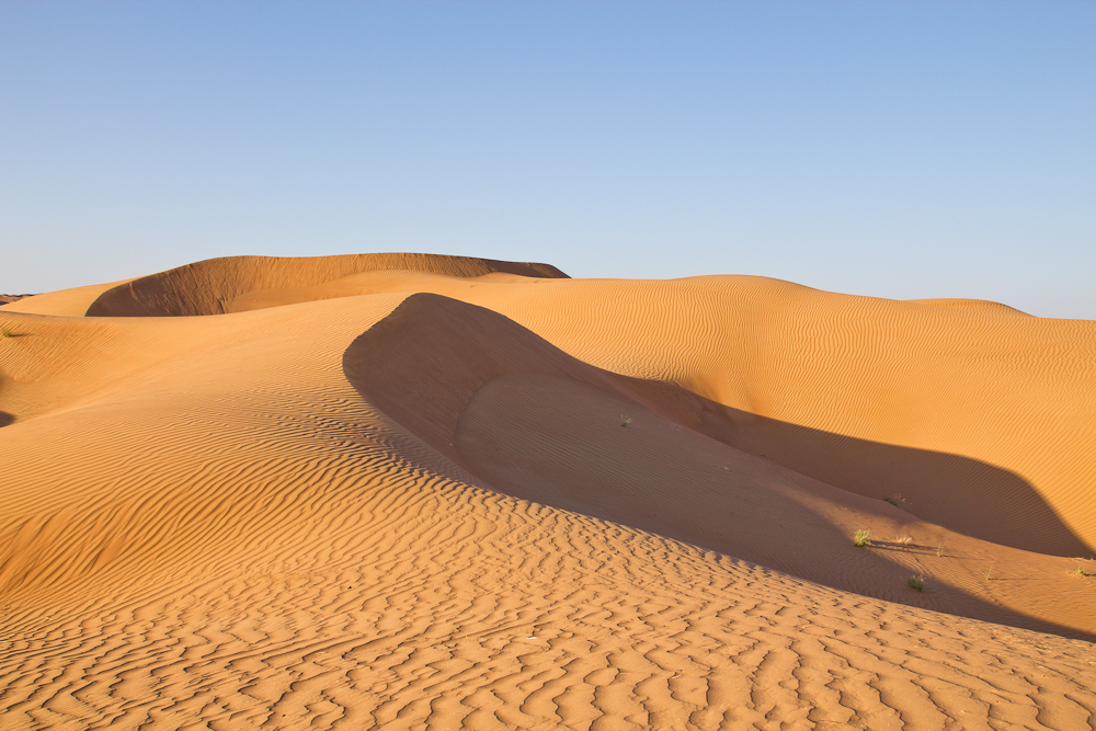 Ras_Al_Khaimah_Wüste_38.jpg