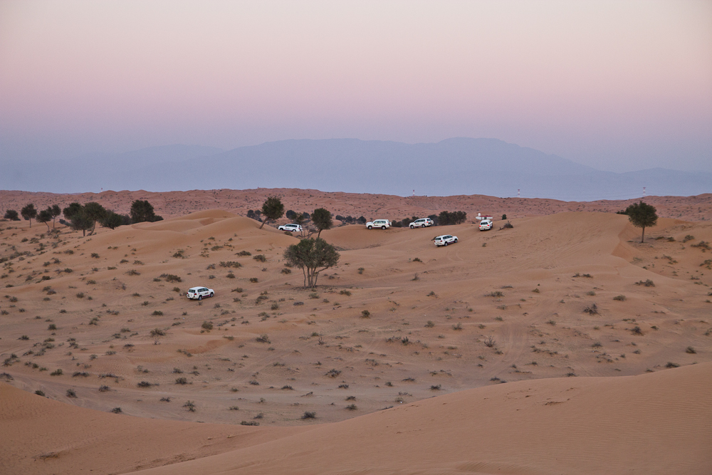 Ras_Al_Khaimah_Wüste_53.jpg