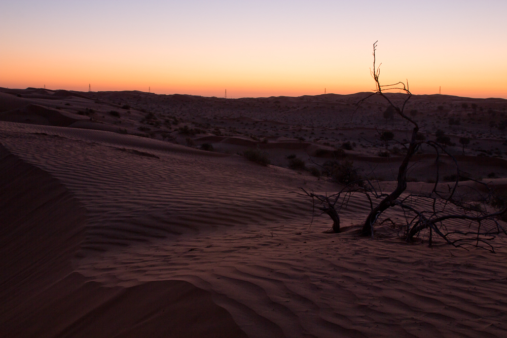 Ras_Al_Khaimah_Wüste_55.jpg