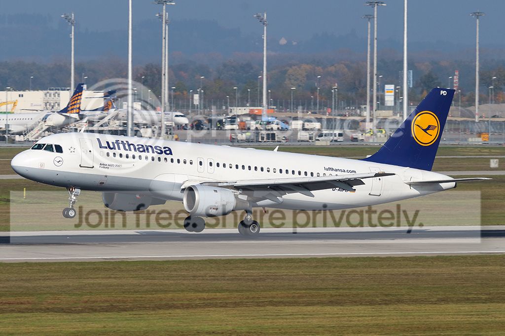 D-AIPD.jpg