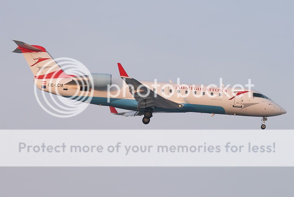 Oe-LCM.jpg