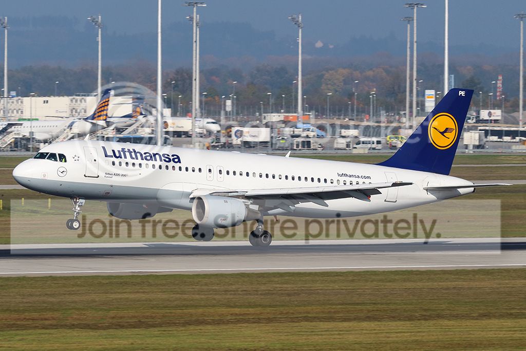 D-AIPE.jpg