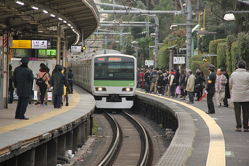 17009299hl.jpg