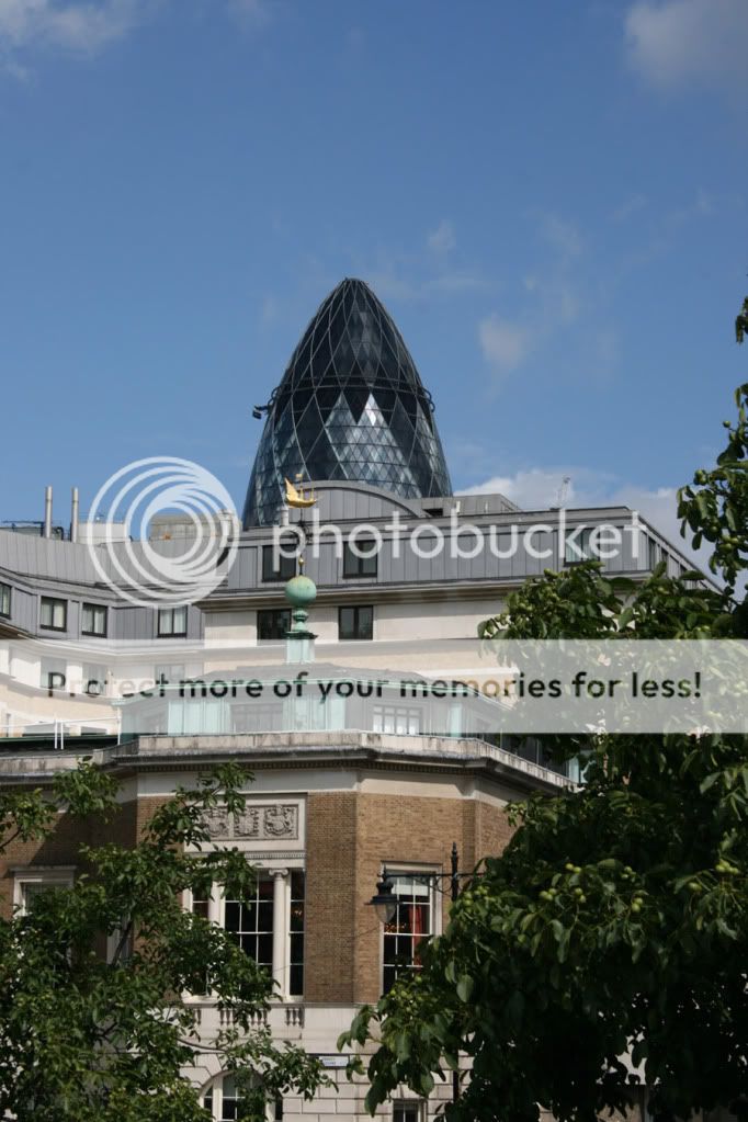 IMG_3994.jpg