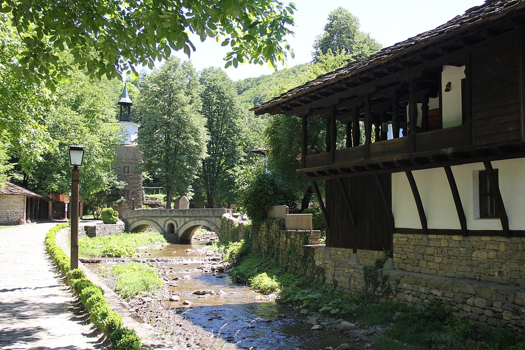 33051791oa.jpg