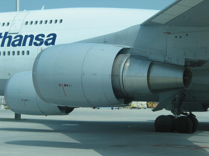 4173086.jpg