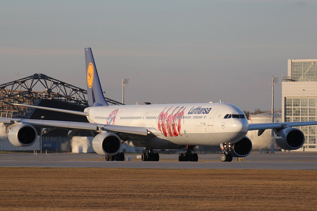 51404028zj.jpg