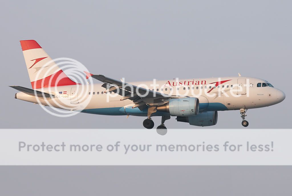 OE-LDD-1.jpg