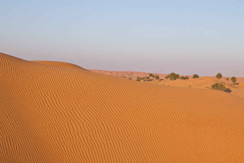 Ras_Al_Khaimah_Wüste_47.jpg