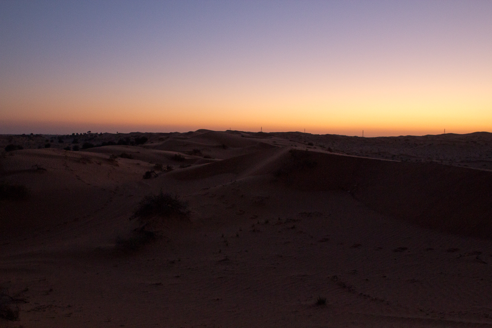 Ras_Al_Khaimah_Wüste_54.jpg