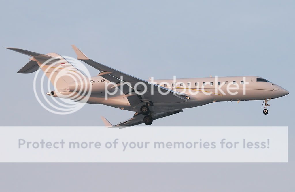 OE-LAF.jpg