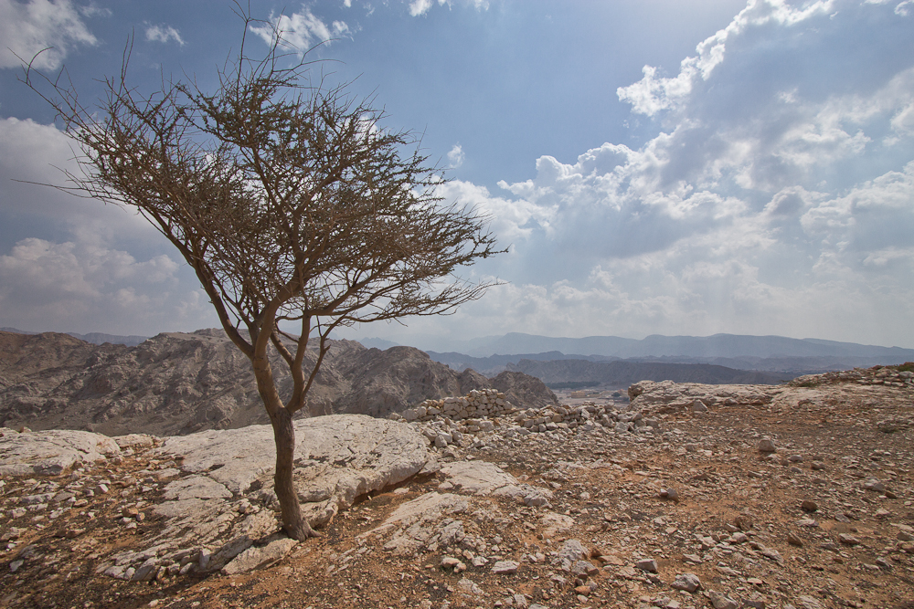 Ras_Al_Khaimah_Wüste_26.jpg