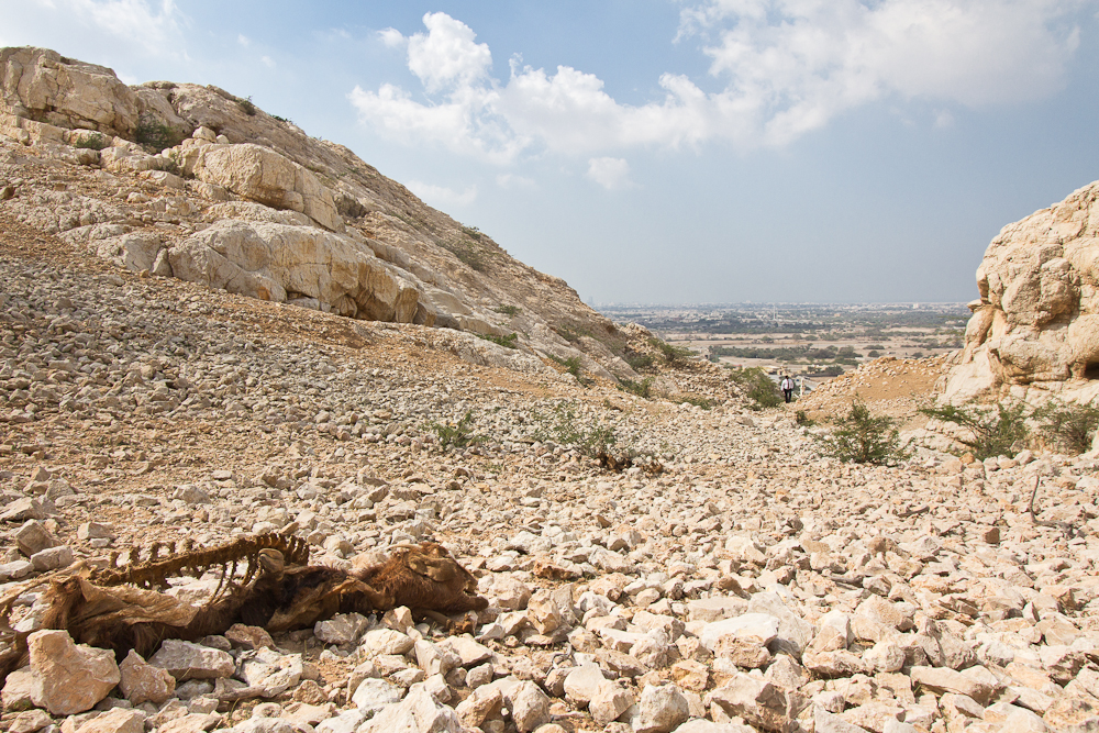 Ras_Al_Khaimah_Wüste_19.jpg