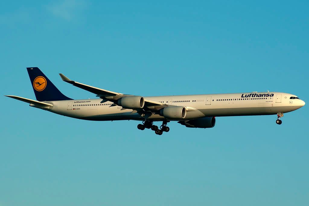 D-AIHX.jpg