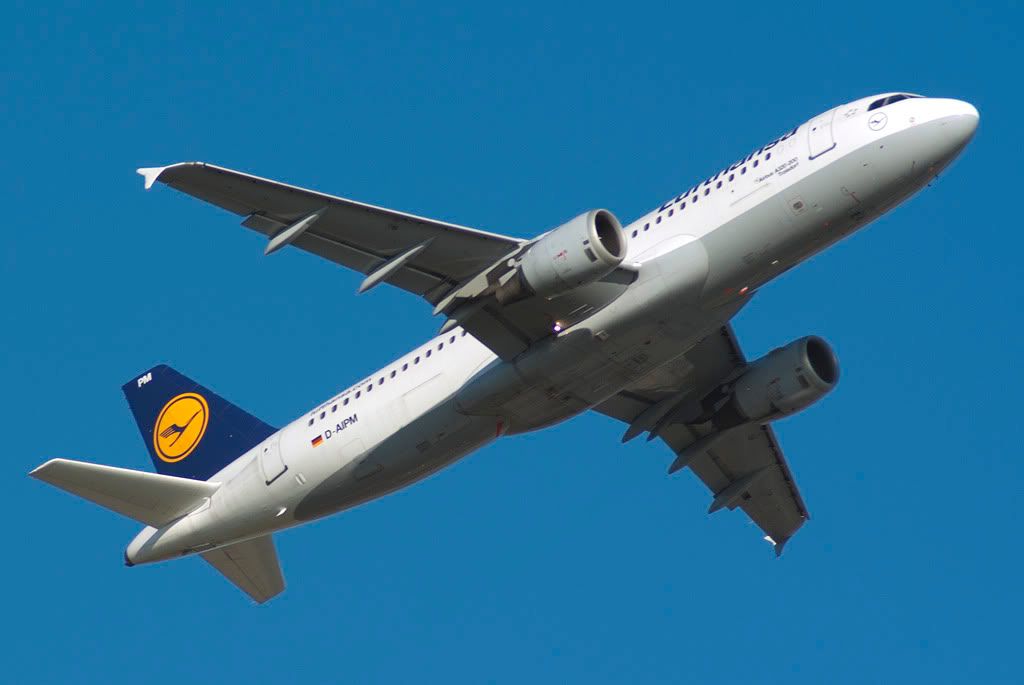 D-AIPM.jpg