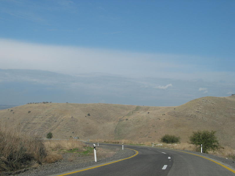 6184442dyl.jpg