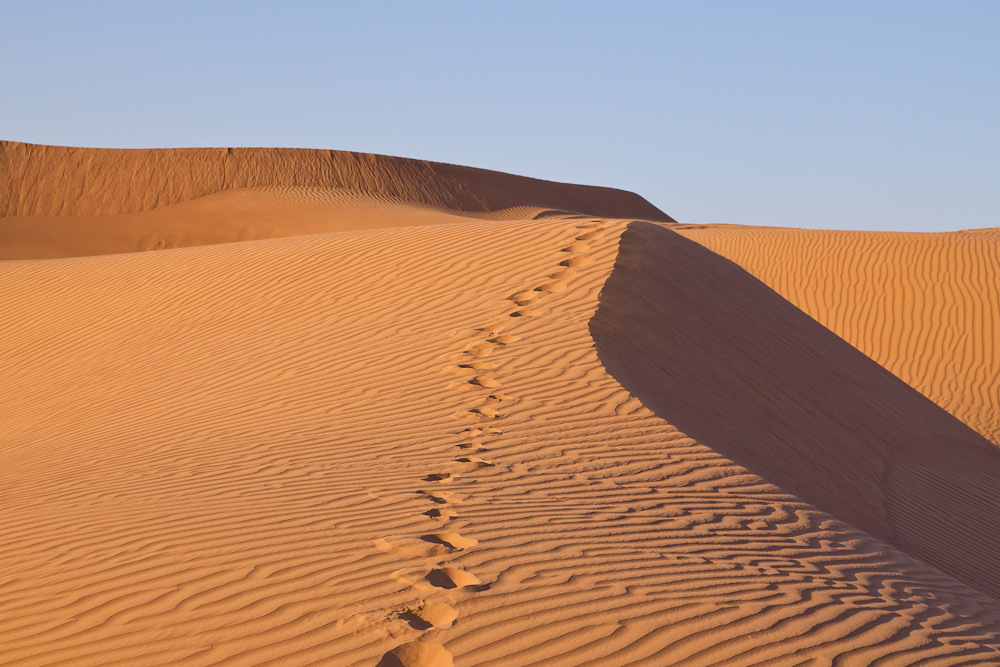 Ras_Al_Khaimah_Wüste_45.jpg