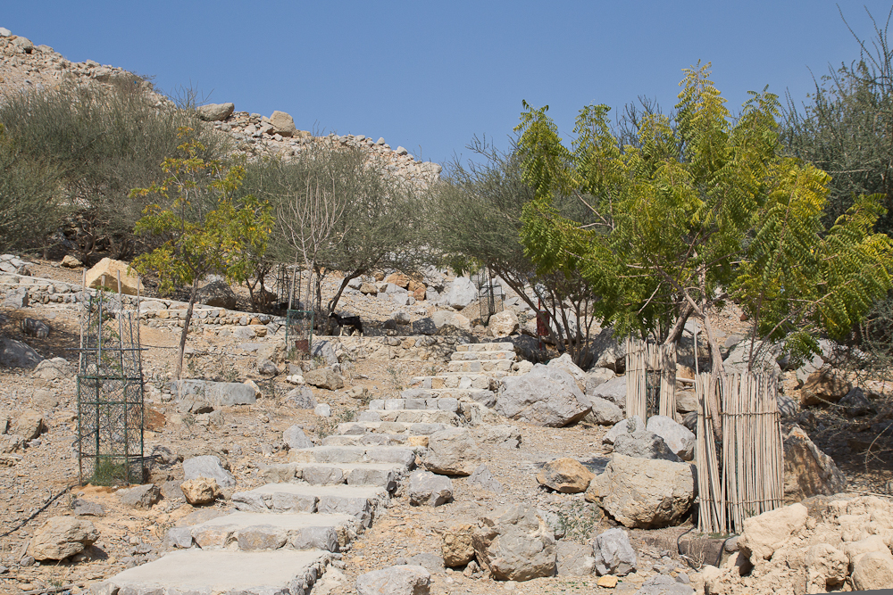 Ras_Al_Khaimah_Wüste_32.jpg