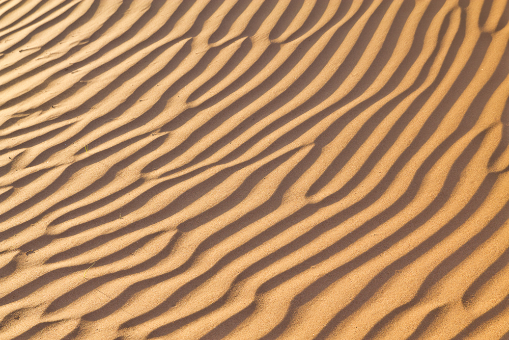 Ras_Al_Khaimah_Wüste_39.jpg