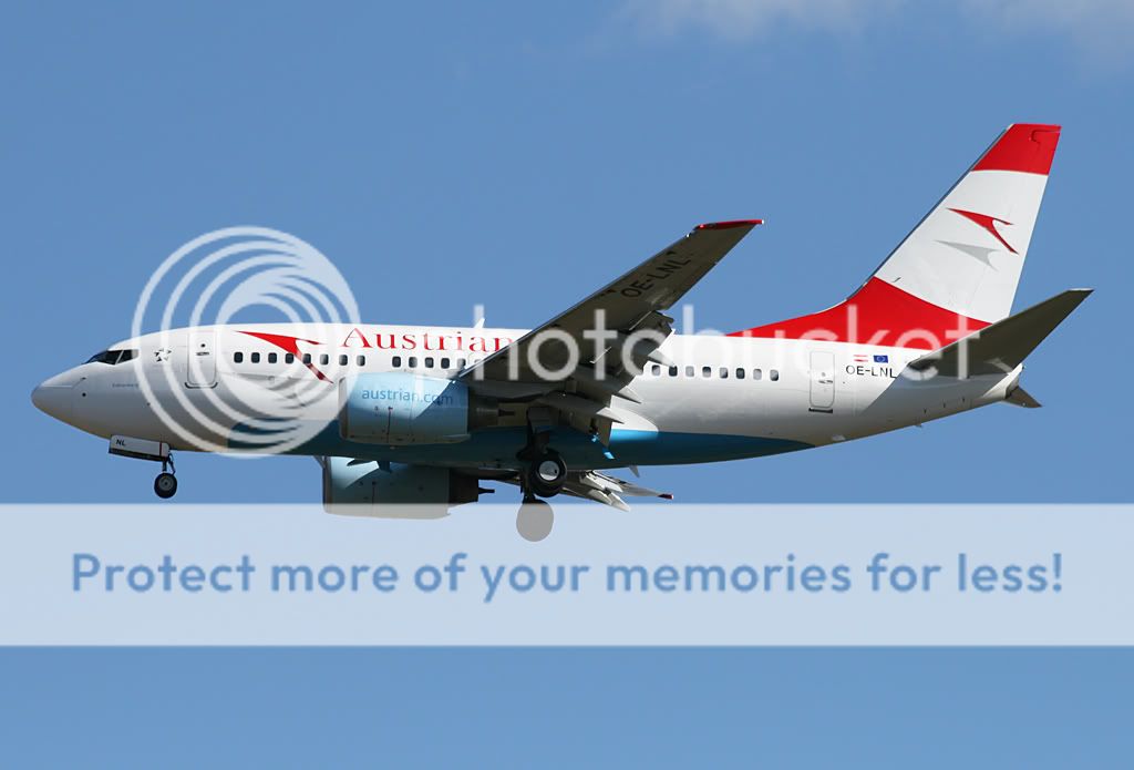 OE-LNL-1.jpg