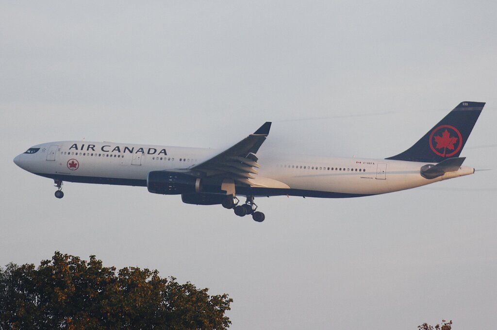 51352088ll.jpg