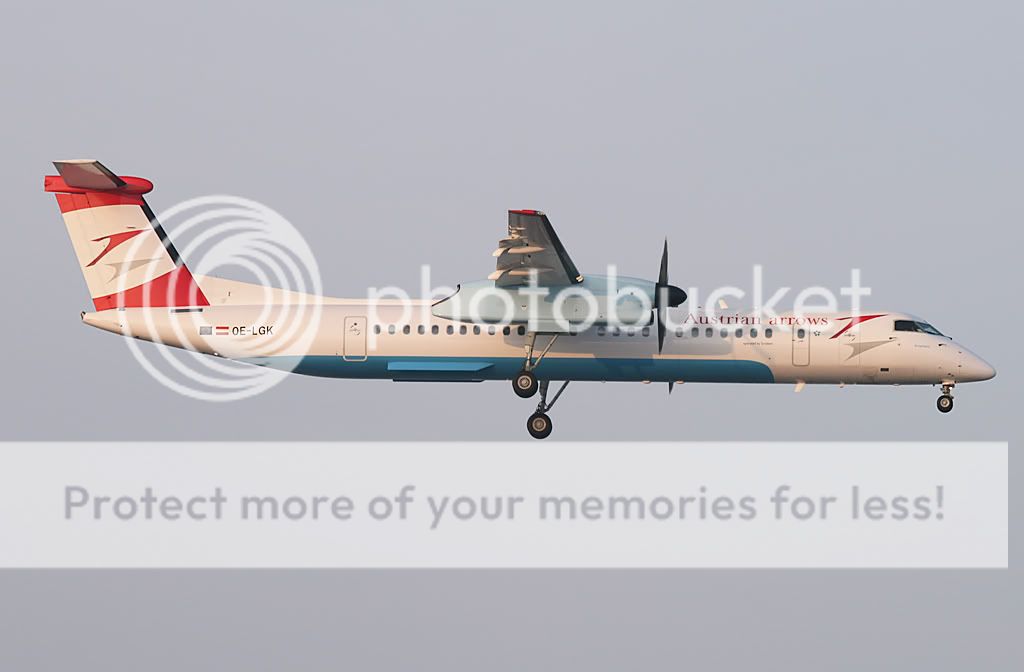 OE-LGK-1.jpg