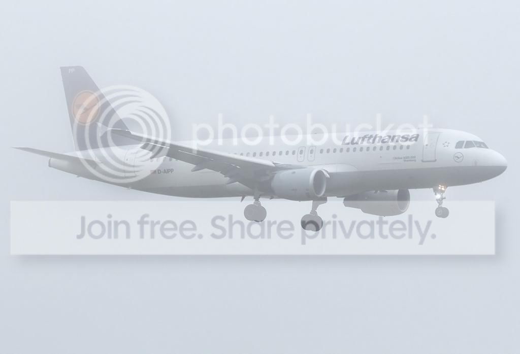 D-AIPP_zpsf70ac96b.jpg