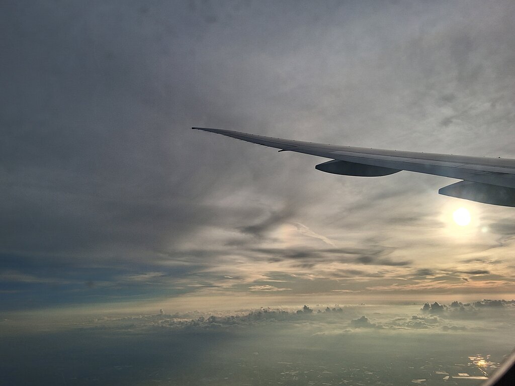 50003859ny.jpg