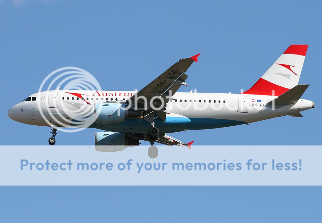 OE-LDG-1.jpg