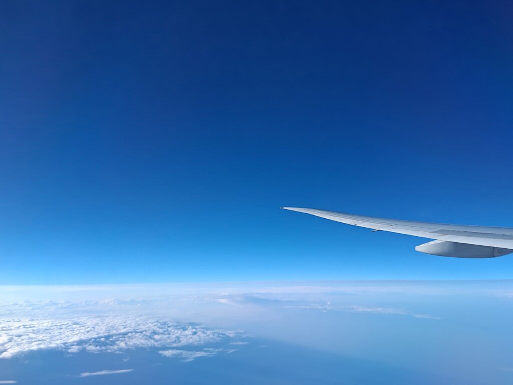 50003858mi.jpg