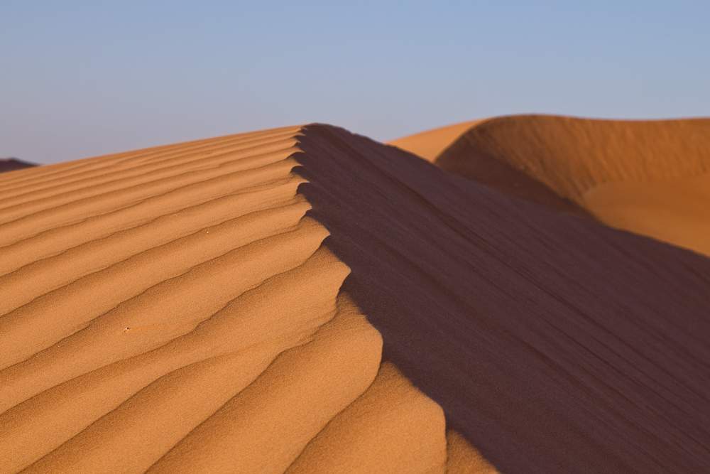 Ras_Al_Khaimah_Wüste_43.jpg