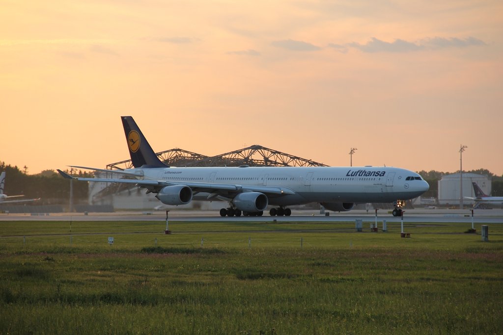 10619056zc.jpg