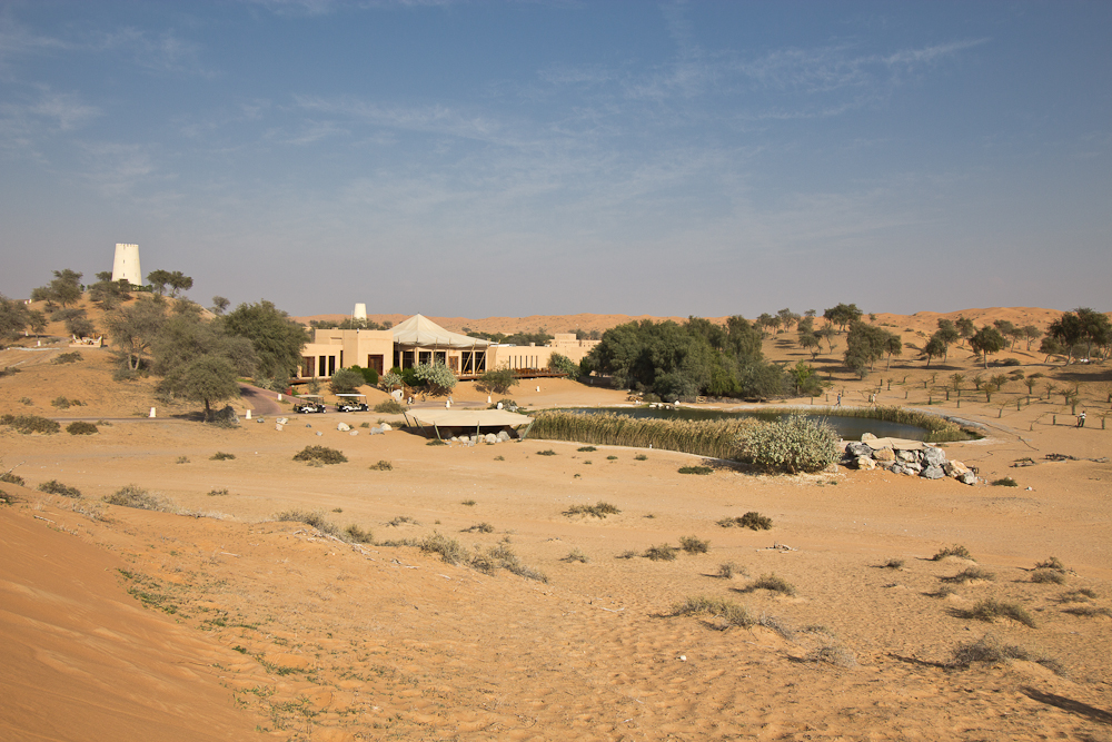 Ras_Al_Khaimah_Wüste_Falken_15.jpg