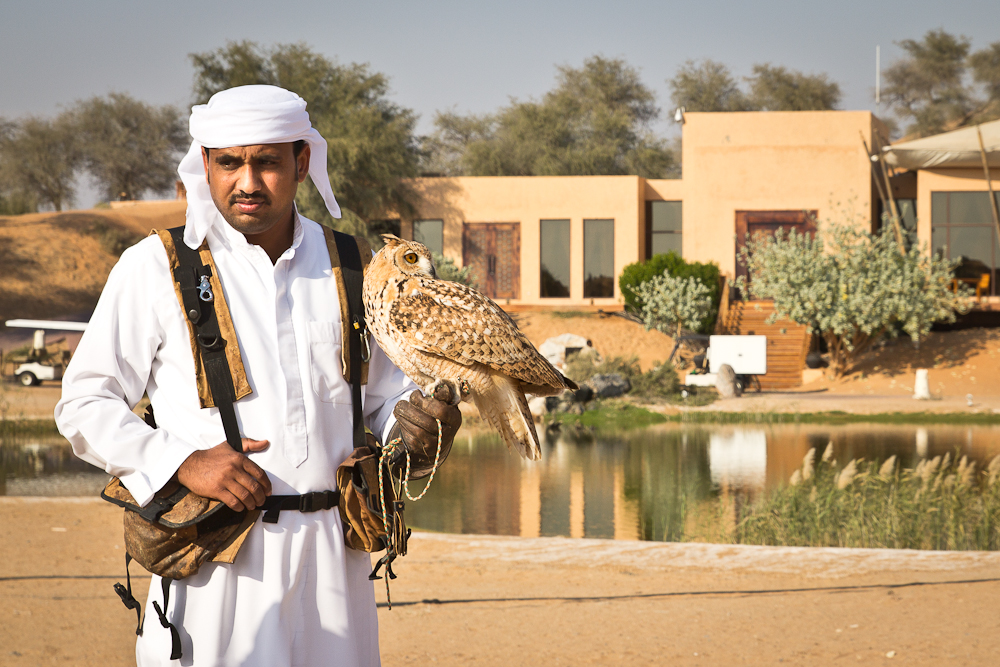 Ras_Al_Khaimah_Wüste_Falken_17.jpg