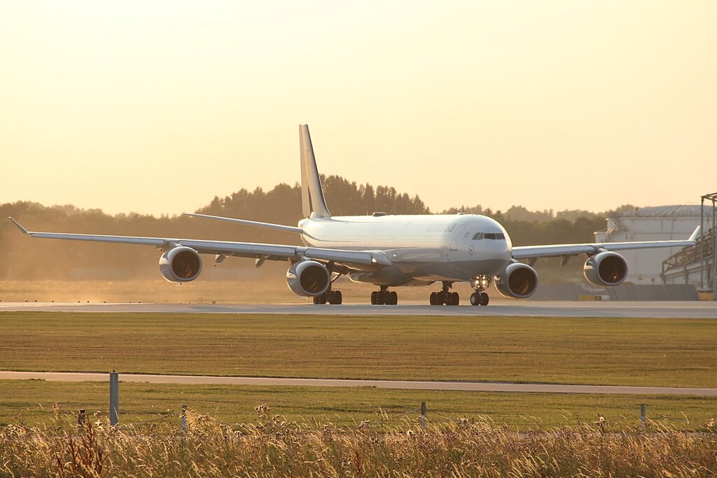 51404038jr.jpg