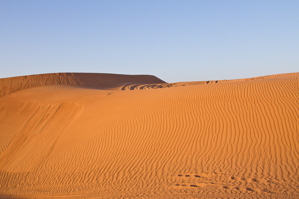 Ras_Al_Khaimah_Wüste_46.jpg